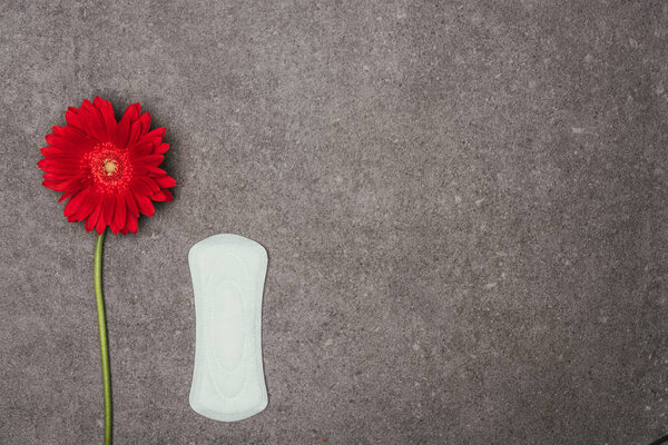top view of arranged menstrual pad and red flower on grey surface