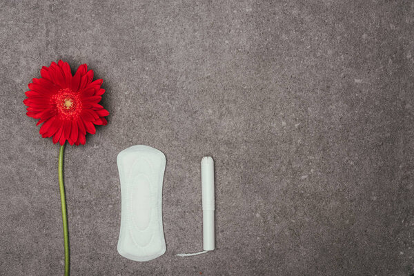 top view of arrangement of red flower, menstrual pad and tampon on grey surface