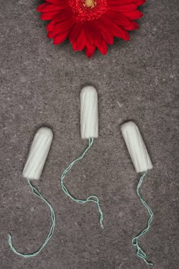 gri yüzeyi görücü usulü adet tampon ve kırmızı çiçek Üstten Görünüm