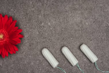 top view of arranged menstrual tampons and red flower on grey surface clipart