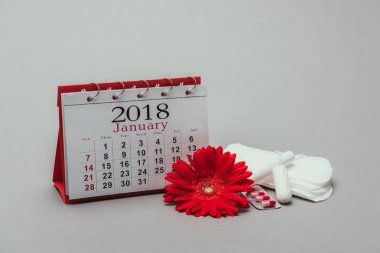 close up view of calendar, flower, pills, menstrual pads and tampons isolated on grey clipart
