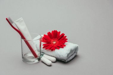 Hijyen malzemeleri, çiçek ve gri izole havlu görünümünü kapat