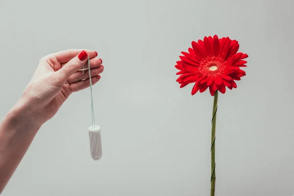 Cropped Shot Woman Holding Tampon Hand Isolated Grey — Stock Photo, Image
