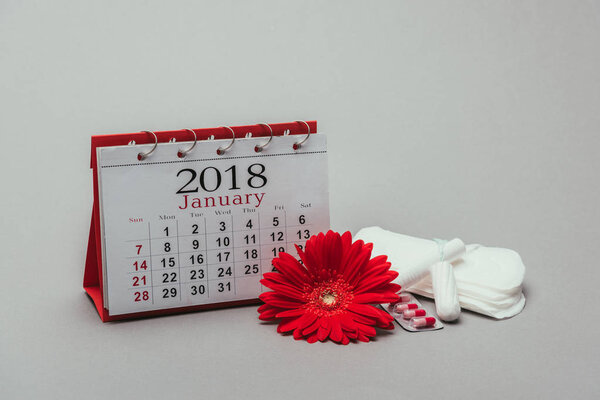 close up view of calendar, flower, pills, menstrual pads and tampons isolated on grey