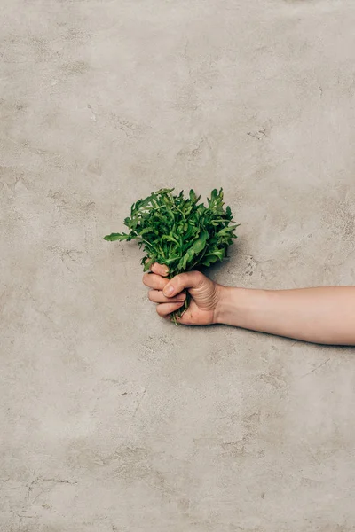 Close View Hand Holding Bunch Green Arugula Leaves — Free Stock Photo
