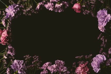 siyah izole pembe ve mor çiçek açan çiçekler güzel çerçeve çiçek yapılmış