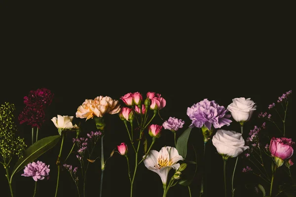 Όμορφη Διάφορα Φρέσκα Λουλούδια Που Ανθίζουν Απομονώνονται Μαύρο — Φωτογραφία Αρχείου