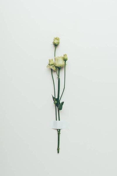 beautiful white eustoma flowers on green twig on grey