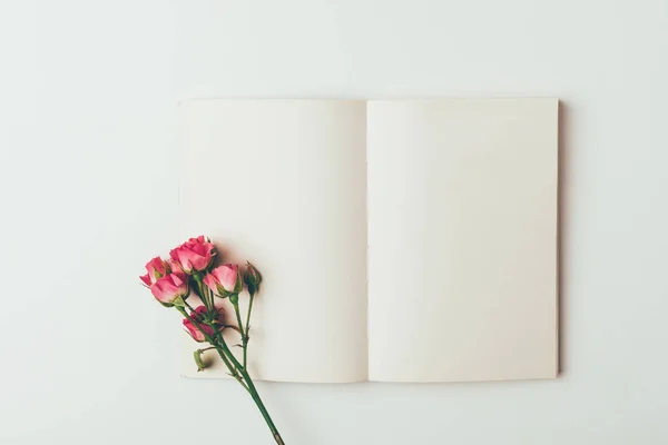 Draufsicht Auf Schöne Zartrosa Rosen Auf Zweigen Und Leere Karte — Stockfoto