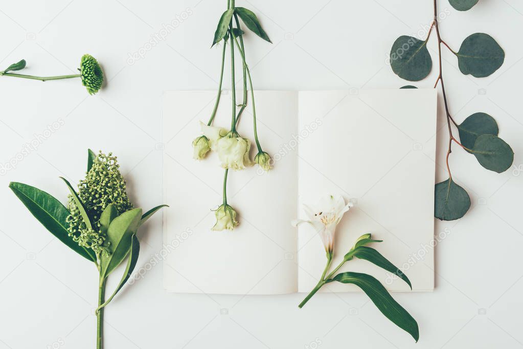 top view of beautiful tender flowers and plants with blank card on grey