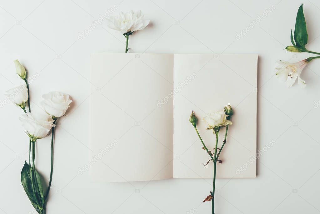 top view of fresh tender white blooming flowers and blank card on grey 