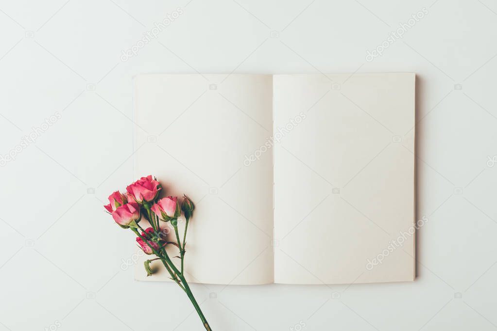 top view of beautiful tender pink roses on twig and blank card isolated on grey