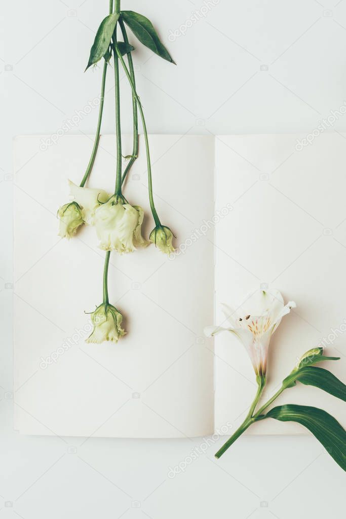 top view of beautiful tender white flowers and blank greeting card on grey