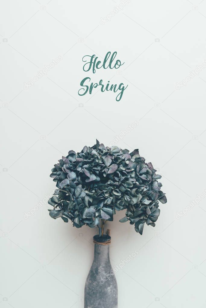 blossoming decorative flowers in bottle and inscription hello spring on grey