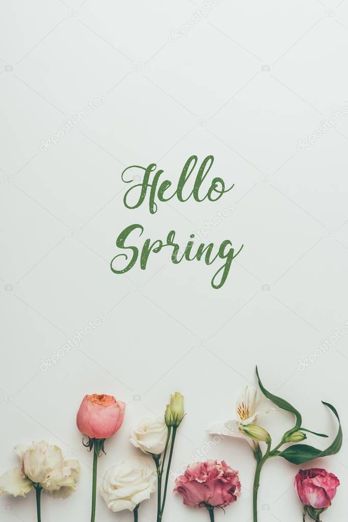 beautiful tender blooming flowers and inscription hello spring on grey