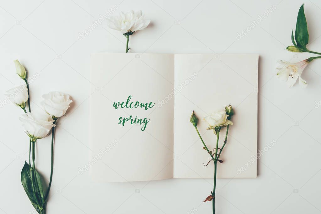 top view of beautiful tender white flowers and greeting card with inscription welcome spring on grey