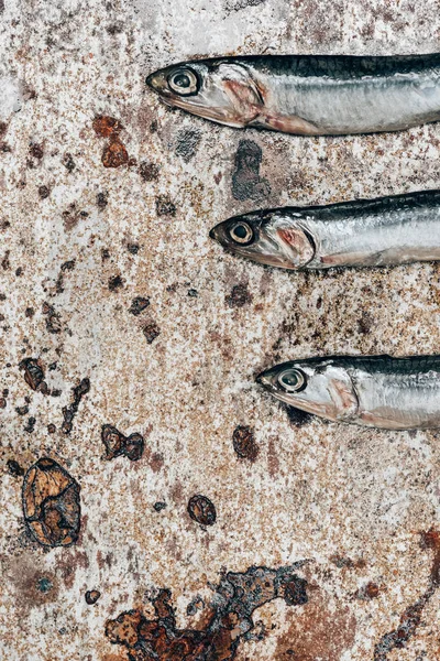 Partial View Three Little Fish Row Rustic Surface — Free Stock Photo
