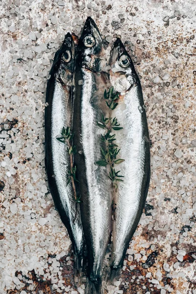 Три Солоні Риби Розмарином Сільській Поверхні — Безкоштовне стокове фото