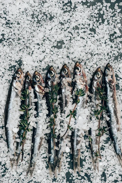 소금에 절인된 생선의 소금으로 표면에 로즈마리 — 무료 스톡 포토