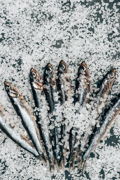 Σωρός Από Παστό Ψάρι Στην Επιφάνεια Που Καλύπτεται Από Αλάτι — Δωρεάν Φωτογραφία