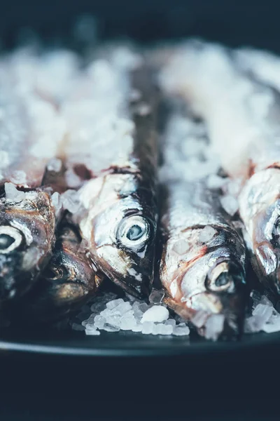 Крупный План Груды Соленой Рыбы Сковороде Изолированы Черном — стоковое фото
