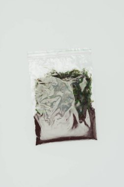 kilitli plastik torba ile kurutulmuş bitki ve toprak beyaz, dünya gün kavramı izole Üstten Görünüm
