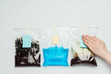 toprak, su ve beyaz, dünya gün kavramı izole fide ile plastik torbalar üzerindeki kağıt sayfalarının yapışmasını kadının kırpılmış görüntü