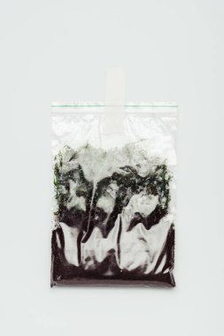 toprak asılı beyaz, dünya gün kavramı izole plastik torba