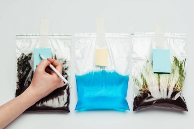 toprak, su ve beyaz, dünya gün kavramı izole fide ile plastik torbalar imzalama kadının kırpılmış görüntü