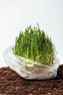 fide beyaz, dünya gün kavramı izole topraklarında plastik torba