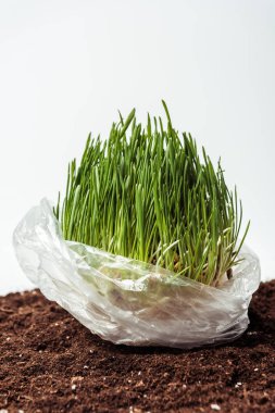 seedling in plastic bag on soil isolated on white, earth day concept clipart