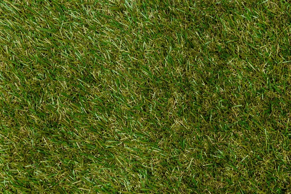 top view of green grass, earth day concept