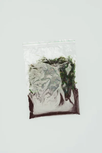 自封塑料袋的顶部视图与干燥植物和土壤隔绝在白色 地球天概念 — 图库照片