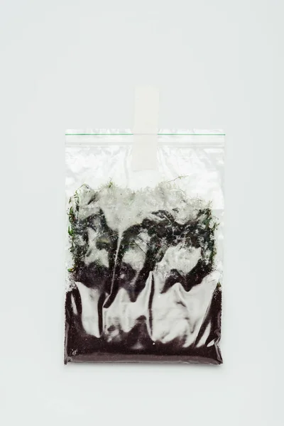 Plastic Zak Met Bodem Hangende Geïsoleerd Wit Aarde Dag Concept — Stockfoto