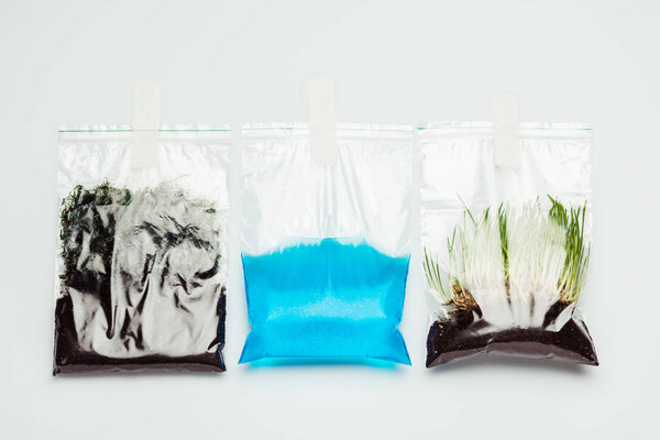 пластиковые пакеты с почвой, водой и саженцами, висящие изолированы на белом, земля день концепции
