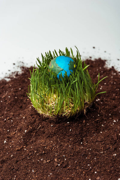 seedling with earth model on soil isolated on white, earth day concept