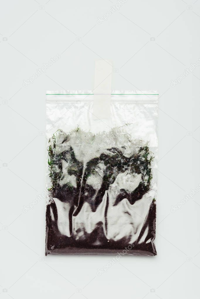 plastic bag with soil hanging isolated on white, earth day concept