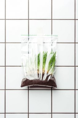 ziplock plastic bag with seedling and soil hanging on tile wall, earth day concept clipart