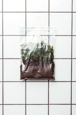 ziplock plastic bag with soil and plants hanging on tile wall, earth day concept clipart