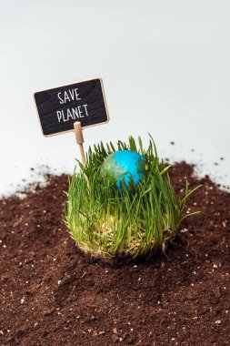 seedling with earth model and sign save planet on soil isolated on white, earth day concept clipart