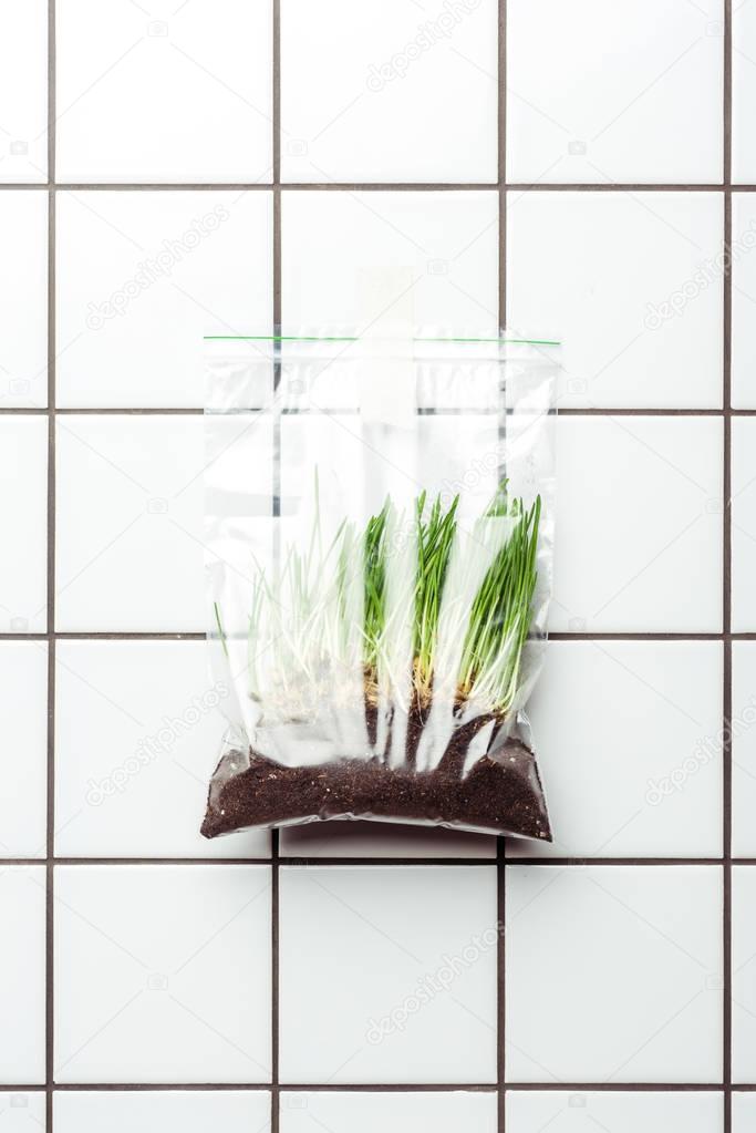 ziplock plastic bag with seedling and soil hanging on tile wall, earth day concept
