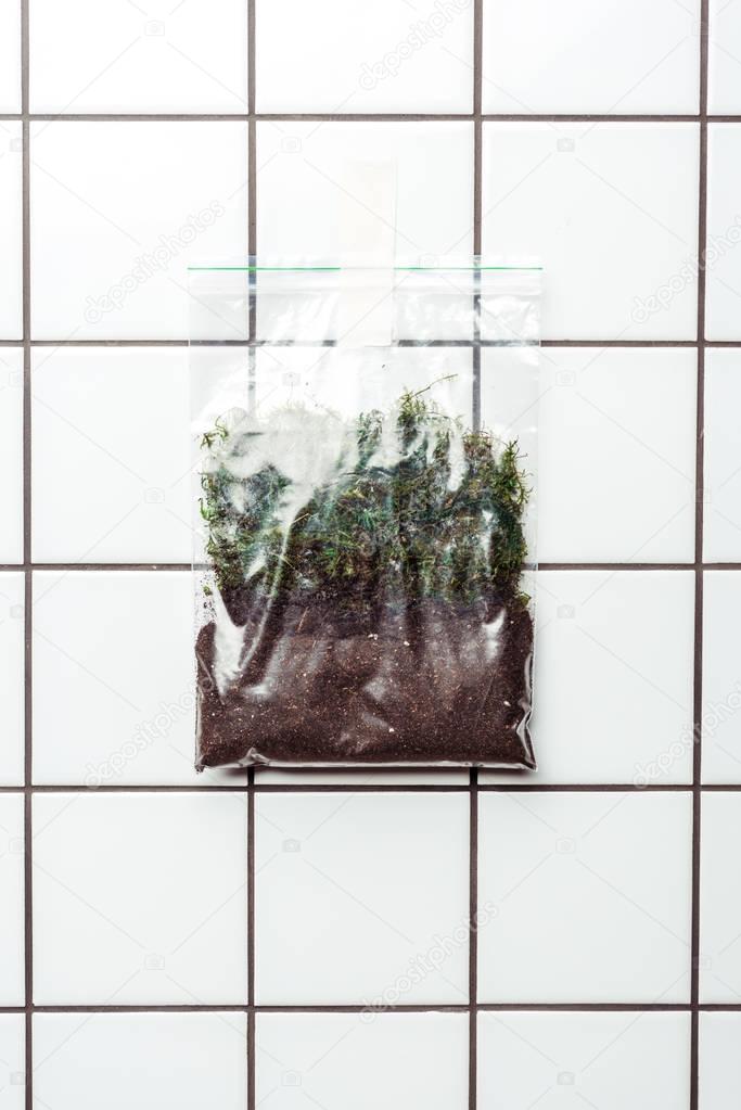 ziplock plastic bag with soil and plants hanging on tile wall, earth day concept