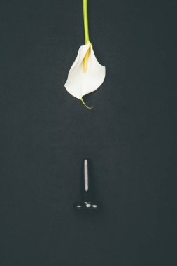 Black butt plug with white calla flower isolated on black clipart