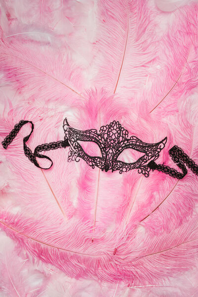 Black lacy mask on pink feathers