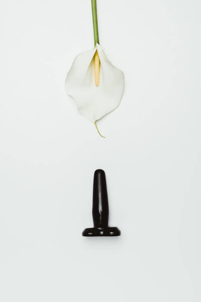 Black butt plug with white calla flower isolated on white