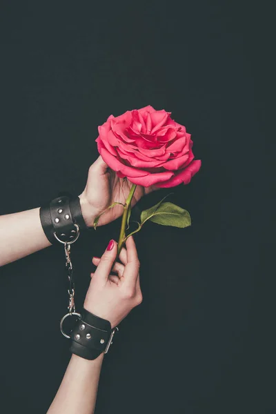 Mãos Femininas Algemas Couro Segurando Rosa Flor Isolada Preto — Fotografia de Stock