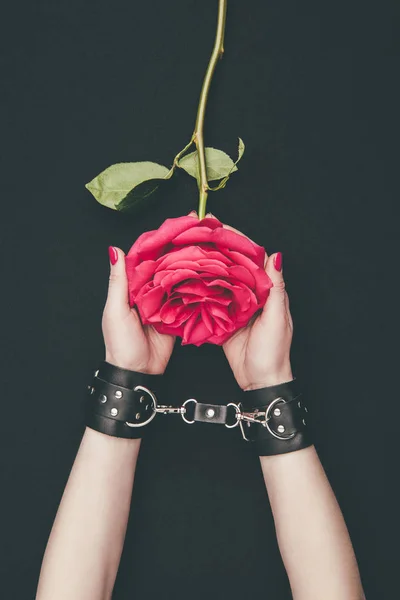 Ženské Ruce Svázané Kožená Pouta Drží Růžový Květ Samostatný Černém — Stock fotografie