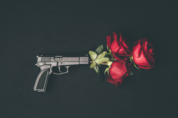 Red roses in gun barrel isolated on black