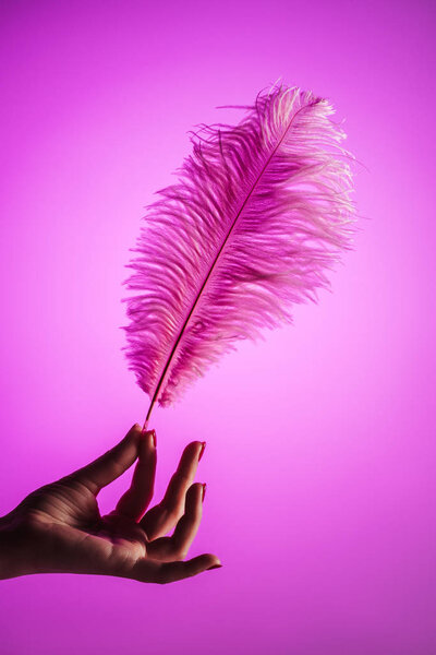 partial view of female hands with pink soft feather, isolated on pink