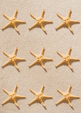 top view of repetition of starfishes on sandy beach clipart